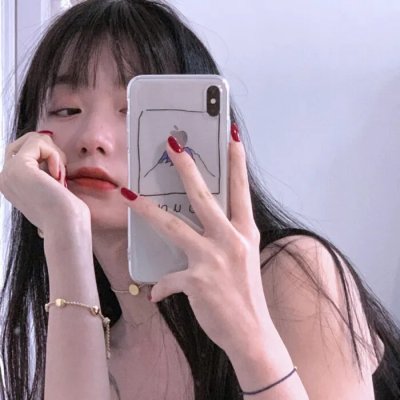假元首秘纪